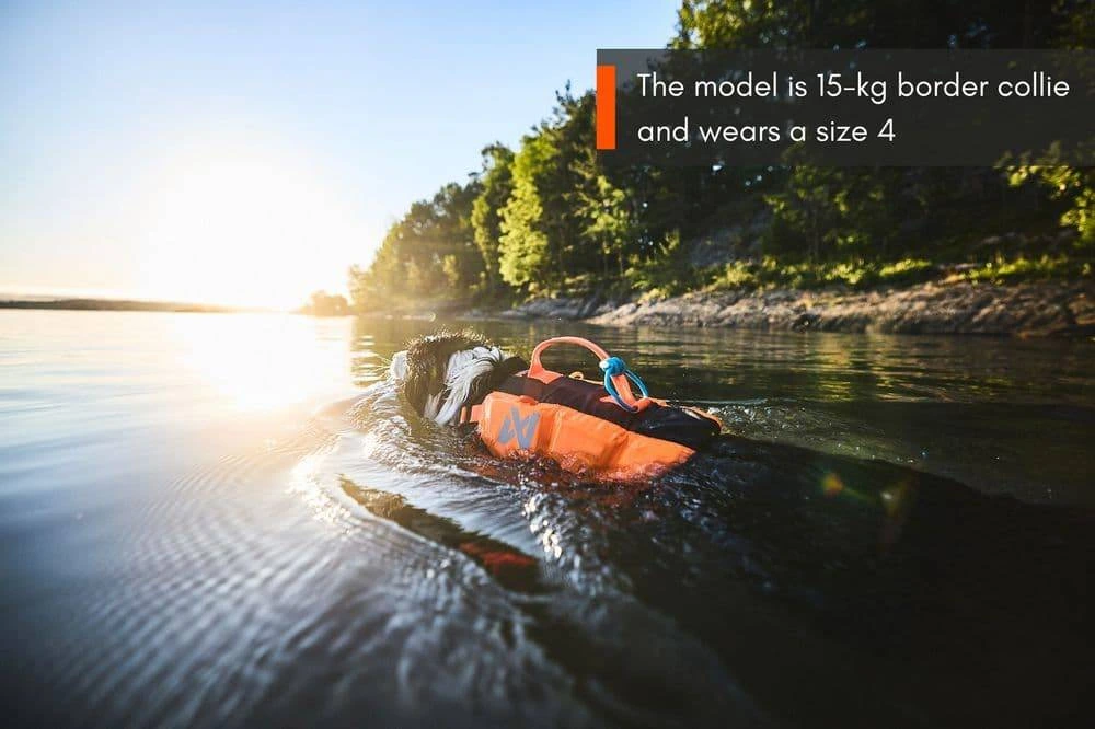 Рятувальний жилет для собак Protector life jacket Non-stop dogwear Чорний/Помаранчевий 8