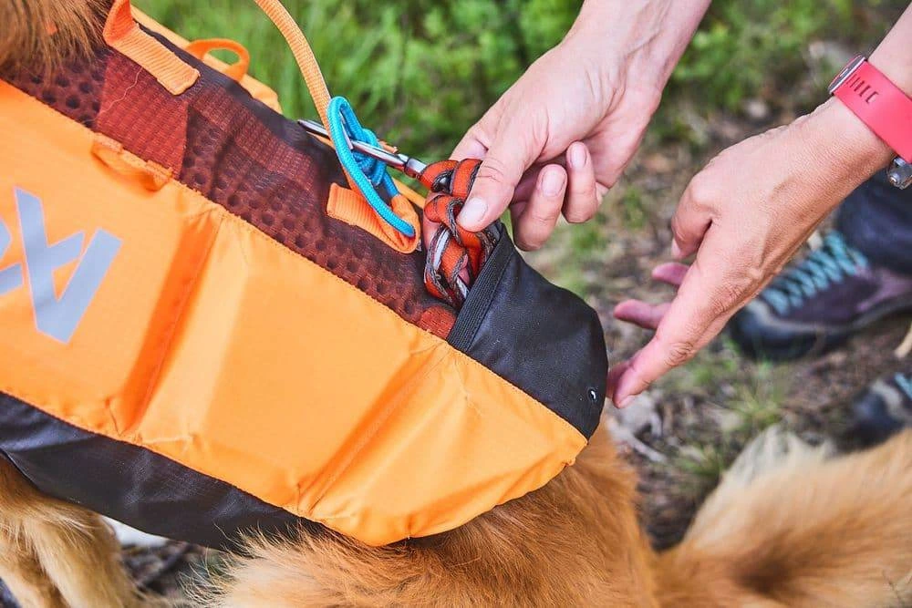 Рятувальний жилет для собак Protector life jacket Non-stop dogwear Чорний/Помаранчевий 8