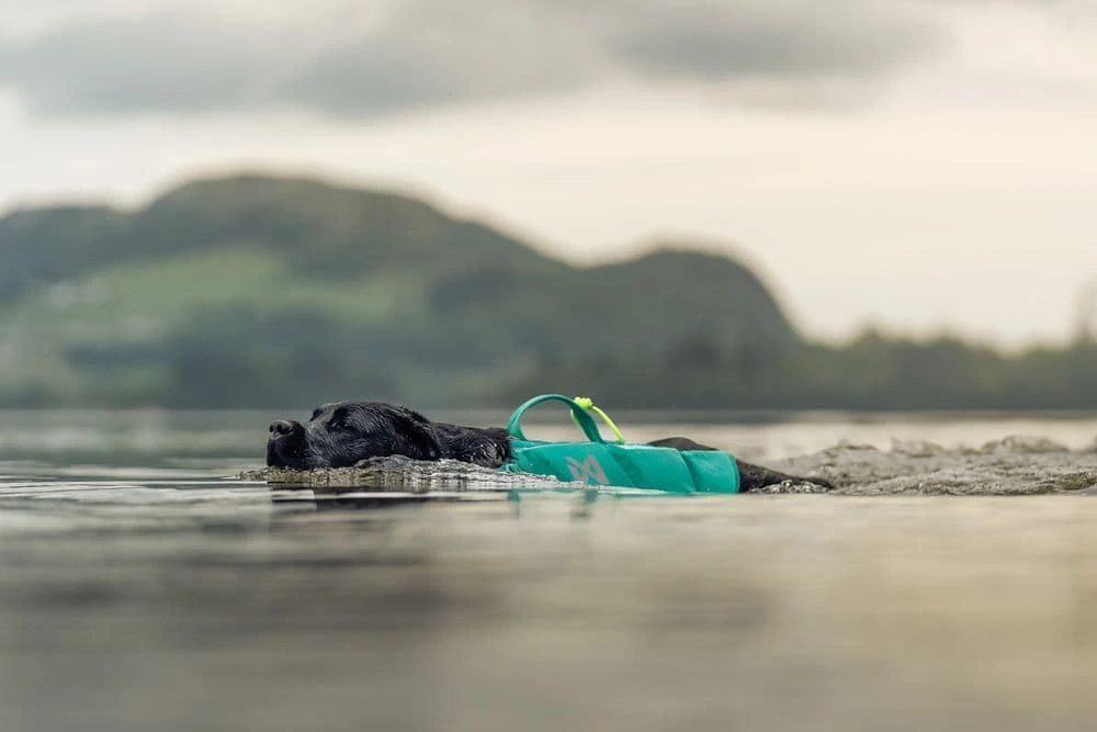 Рятувальний жилет для собак Protector life jacket Non-stop dogwear Бірюзовий 8