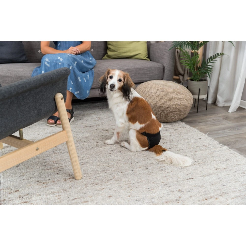 Одяг Trixie труси для собак чорні 20*25см