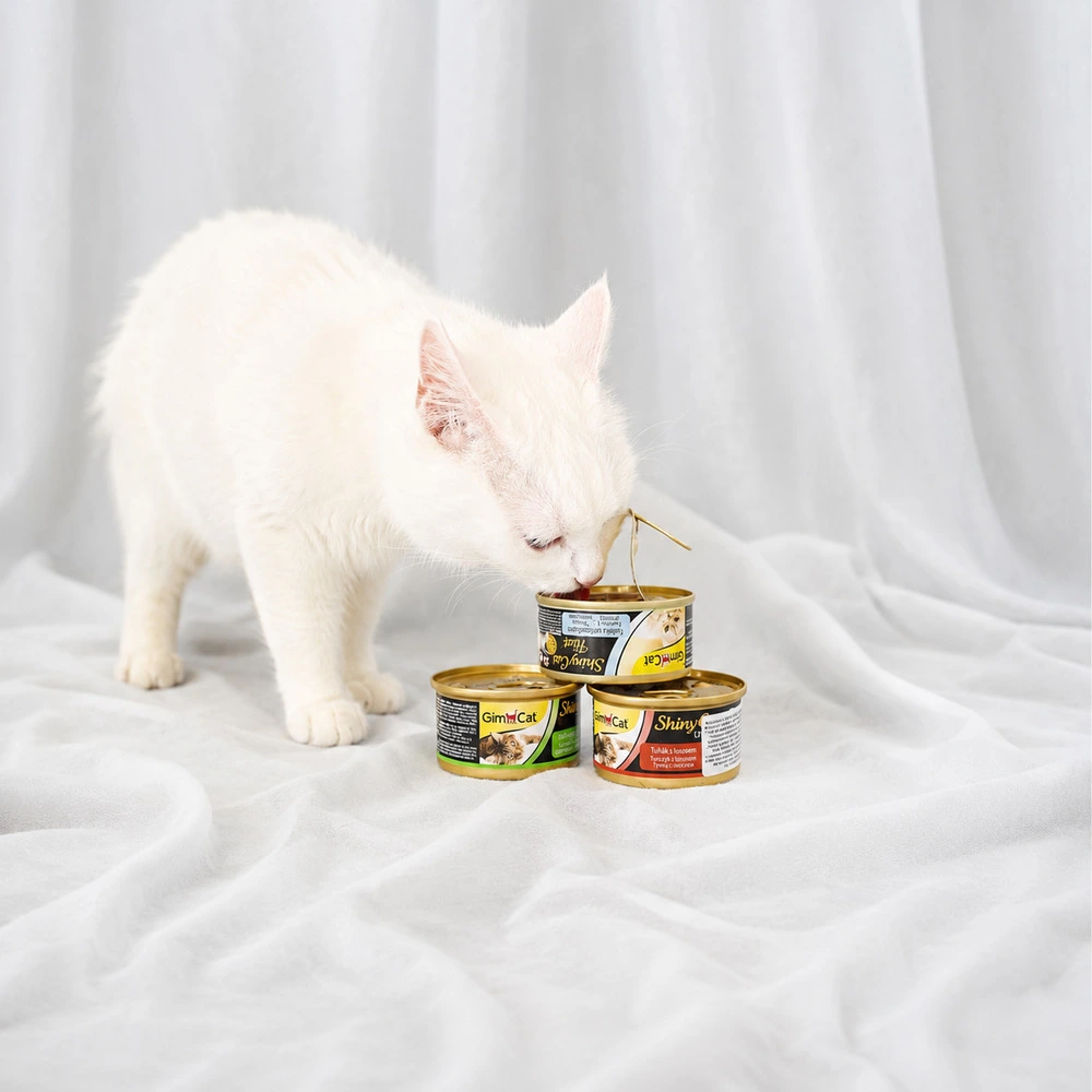 Корм вологий GimCat Shiny Cat для котів з тунцем та креветками в желе 70 г