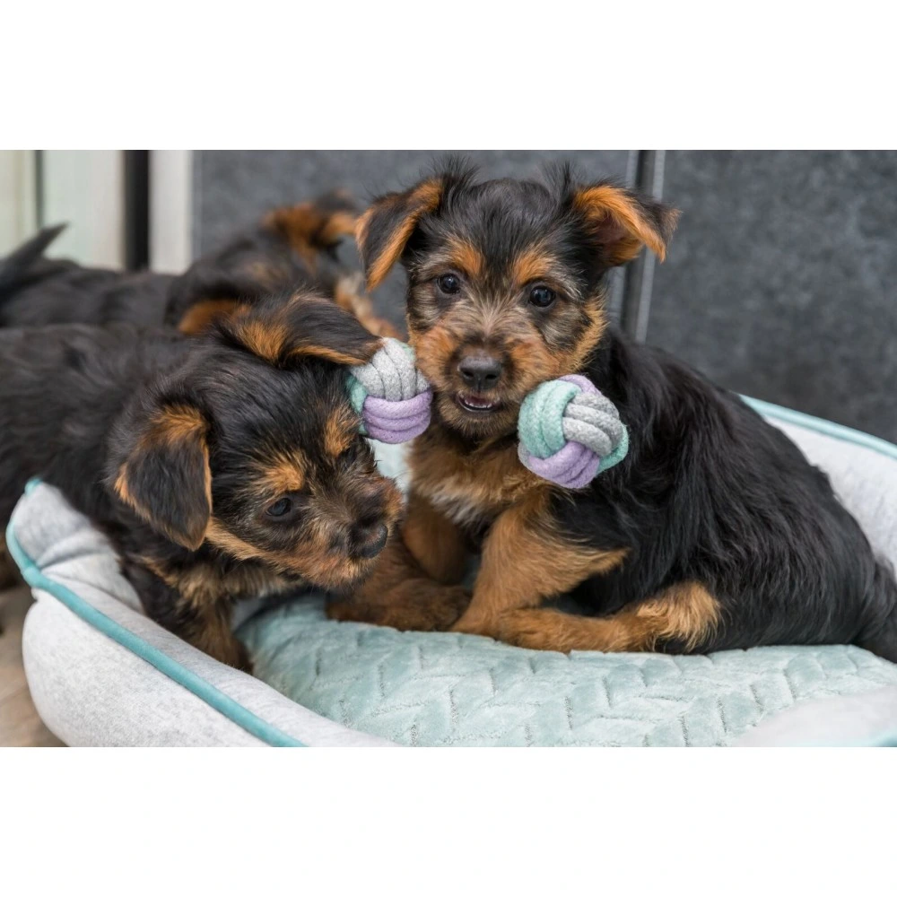 Іграшка Trixie Junior Rope Dumbbell для цуценят Гантель з канатом котон 15 см