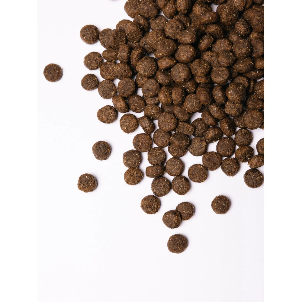 Корм сухий Savory Medium Breed rich in Fresh Turkey and Lamb для дорослих собак середніх порід від 10 до 25 кг зі свіжим ягням