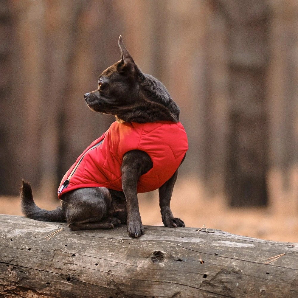 Жилет Pet Fashion E.Vest для собак червоний XL