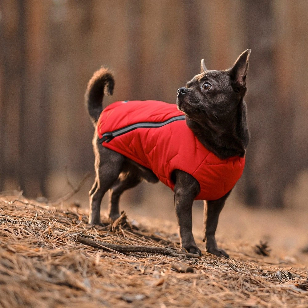 Жилет Pet Fashion E.Vest для собак червоний L