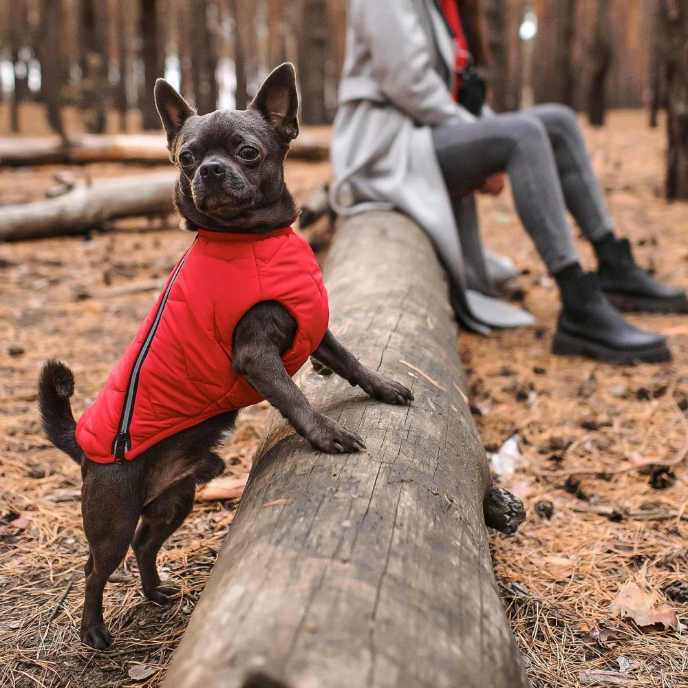 Жилет Pet Fashion E.Vest для собак червоний SМ