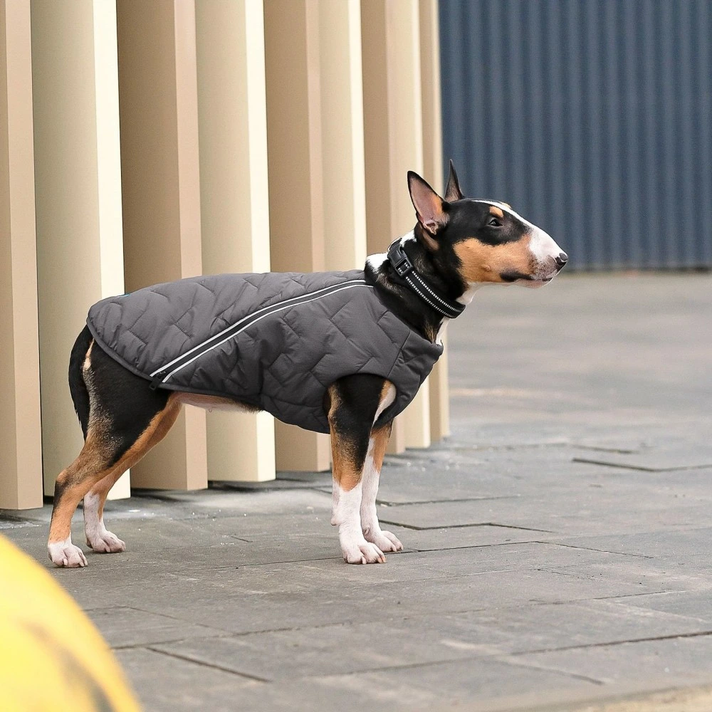 Жилет Pet Fashion E.Vest для собак сірий XL