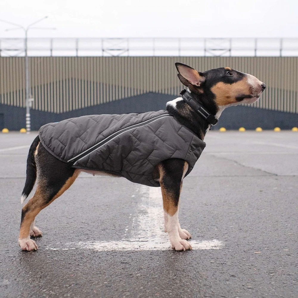 Жилет Pet Fashion E.Vest для собак сірий XL