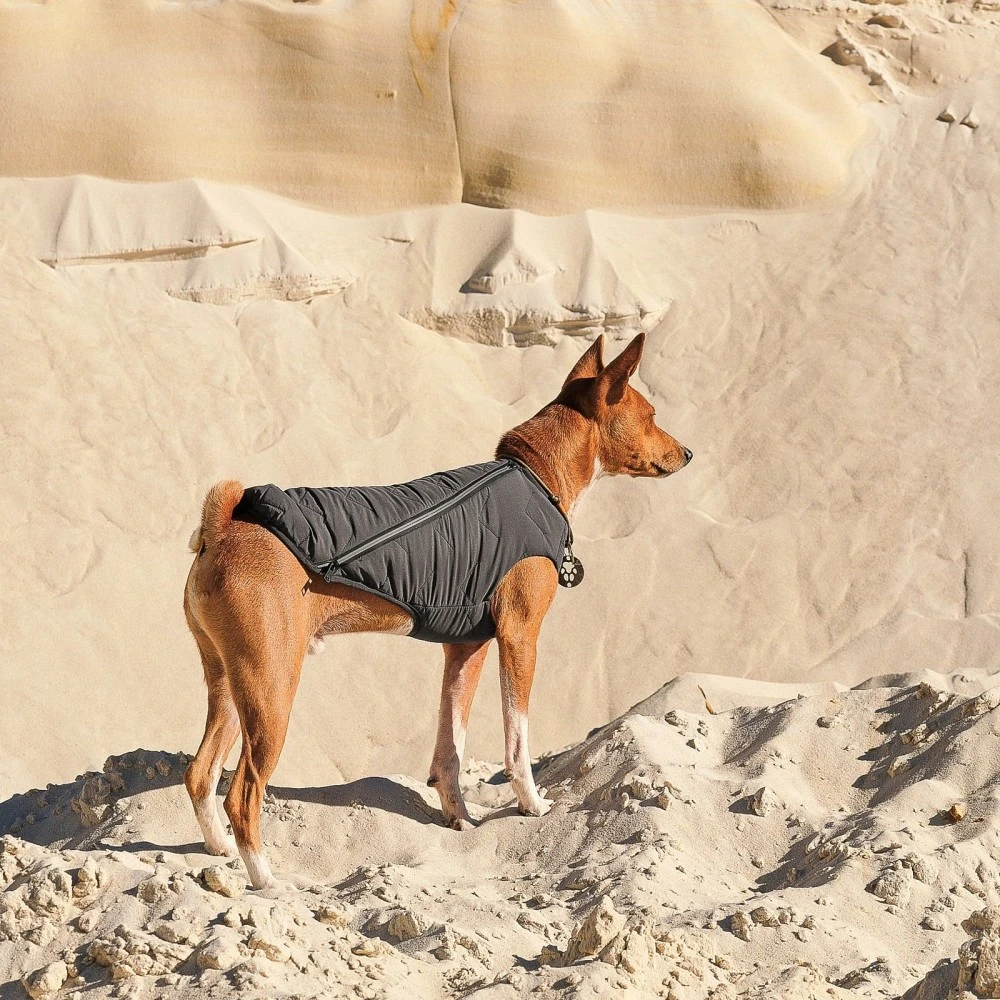 Жилет Pet Fashion E.Vest для собак сірий М