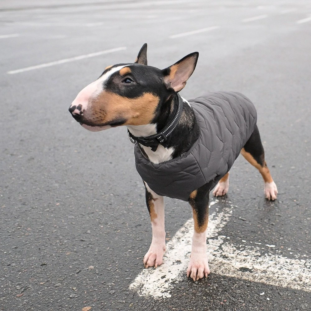 Жилет Pet Fashion E.Vest для собак сірий XS