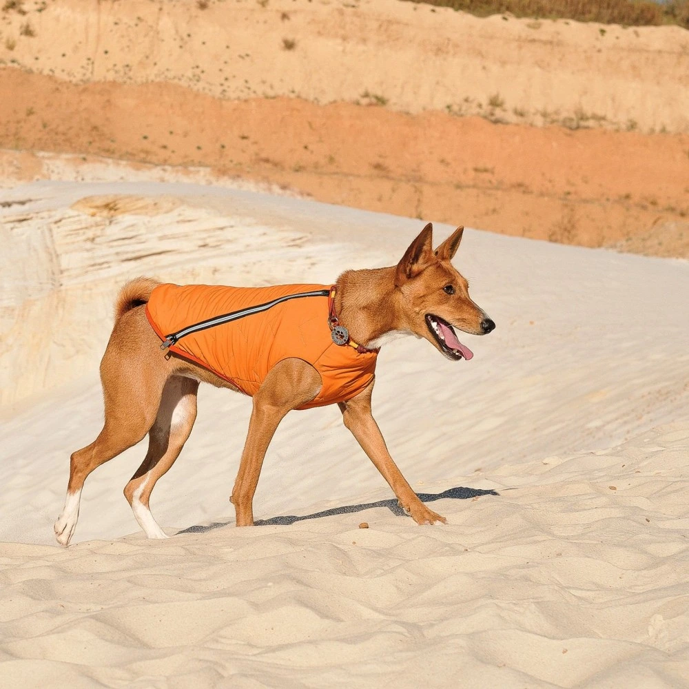 Жилет Pet Fashion Е.Vest для собак помаранчевий М