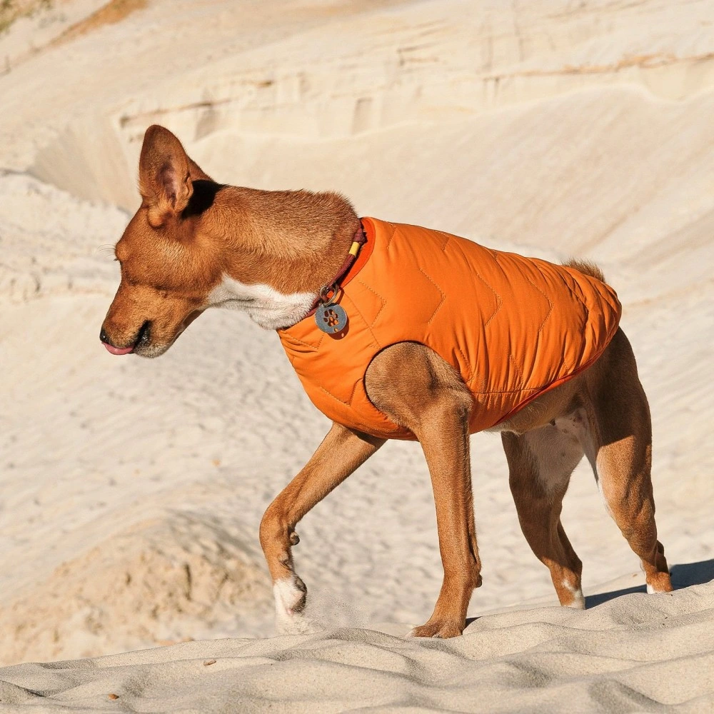 Жилет Pet Fashion E.Vest для собак помаранчевий S