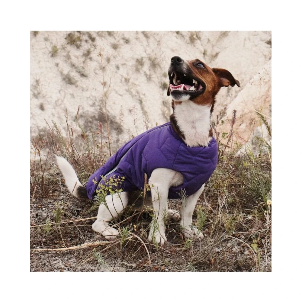 Жилет Pet Fashion E.Vest для собак фіолетовий XL