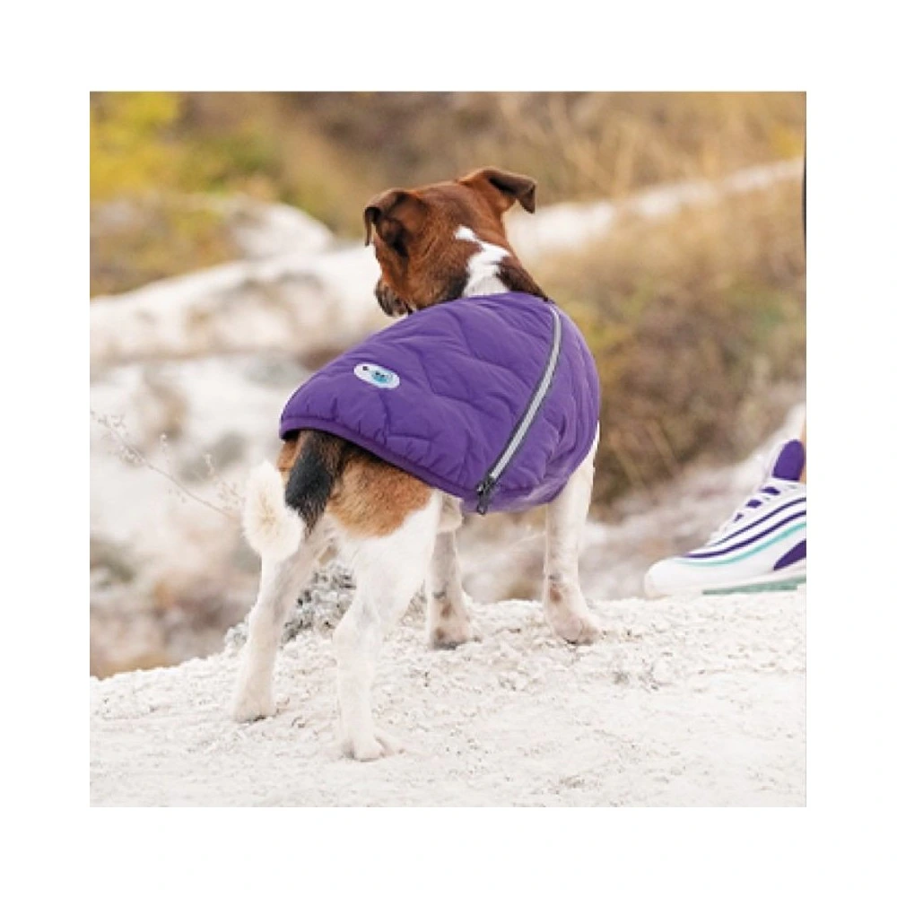 Жилет Pet Fashion E.Vest для собак фіолетовий М2