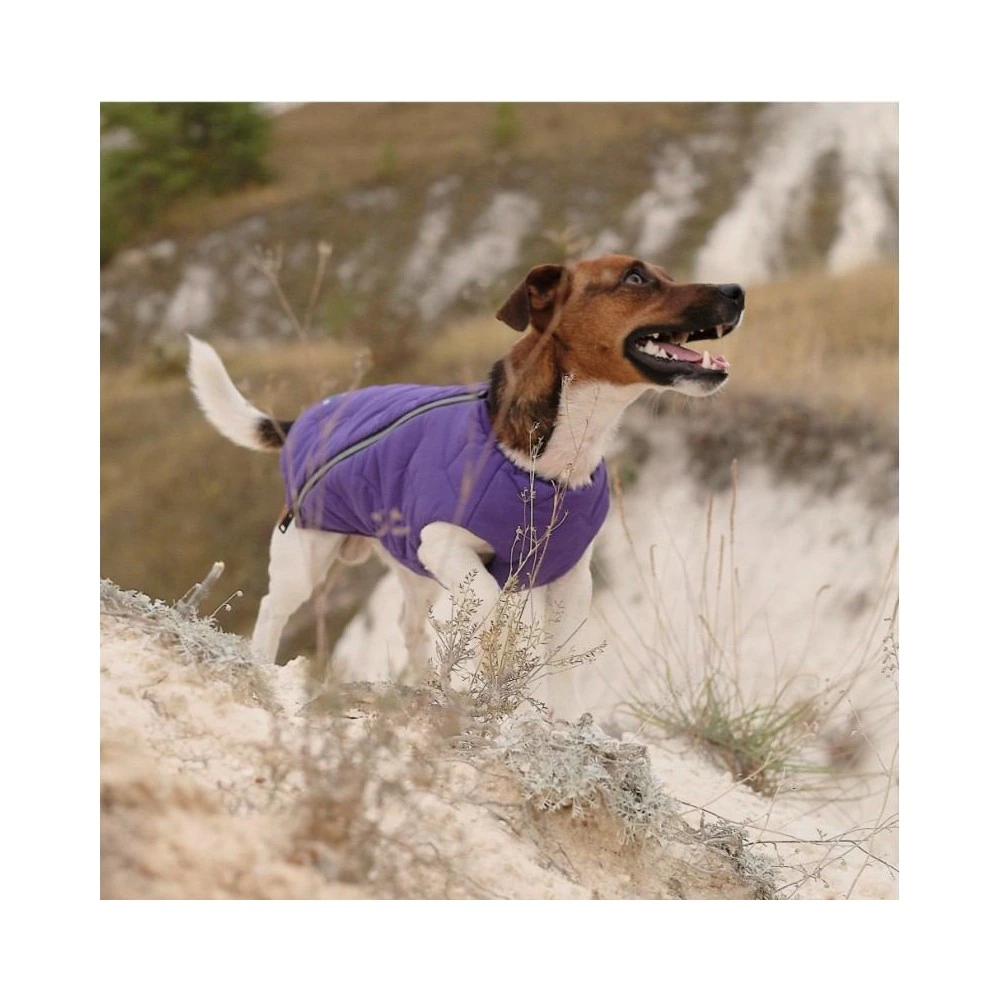 Жилет Pet Fashion E.Vest для собак фіолетовий XS-2