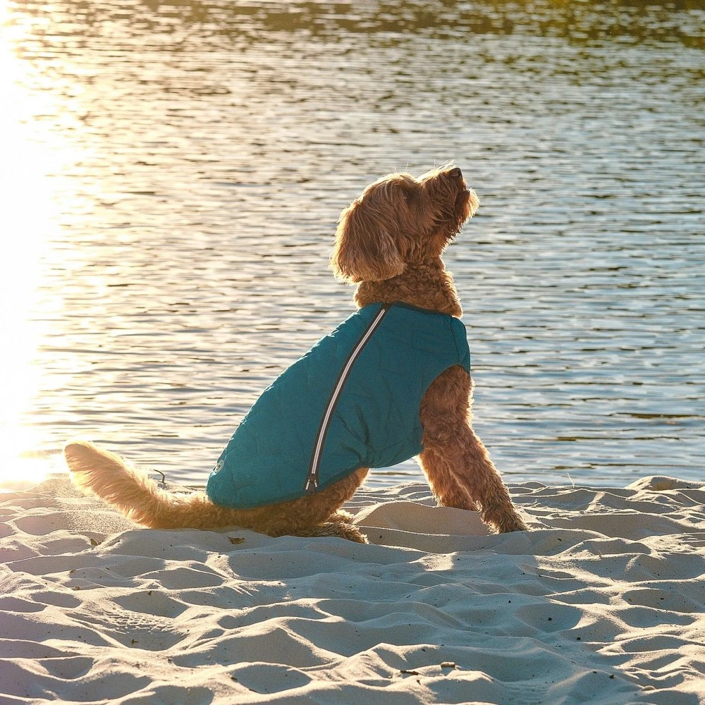 Жилет Pet Fashion E.Vest для собак морська хвиля L