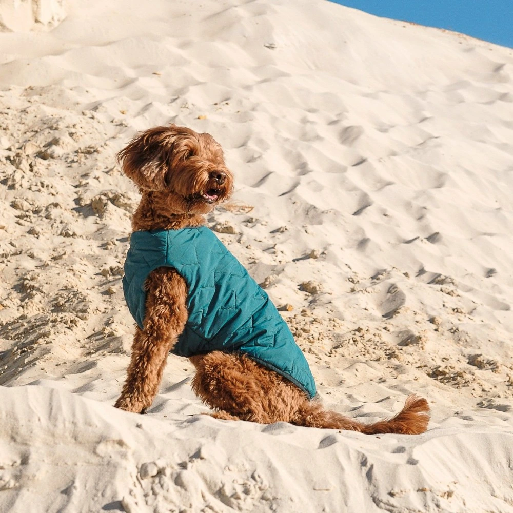 Жилет Pet Fashion E.Vest для собак морська хвиля SМ