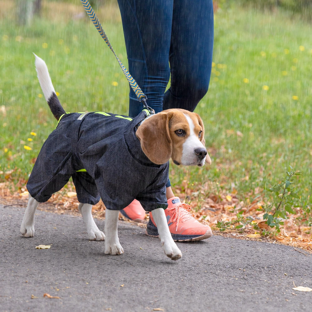 Комбінезон Pet Fashion RAIN для собак сірий 6XL