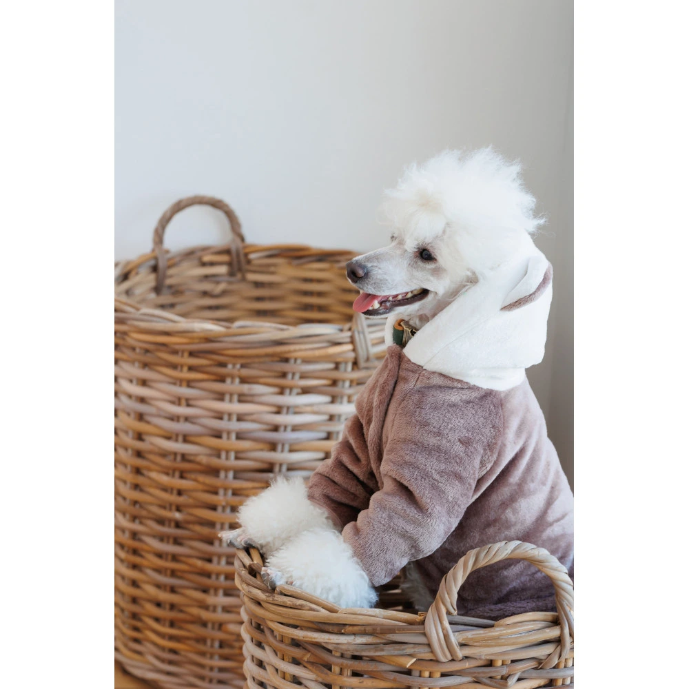 Костюм Pet Fashion Alf для собак бежевий XS