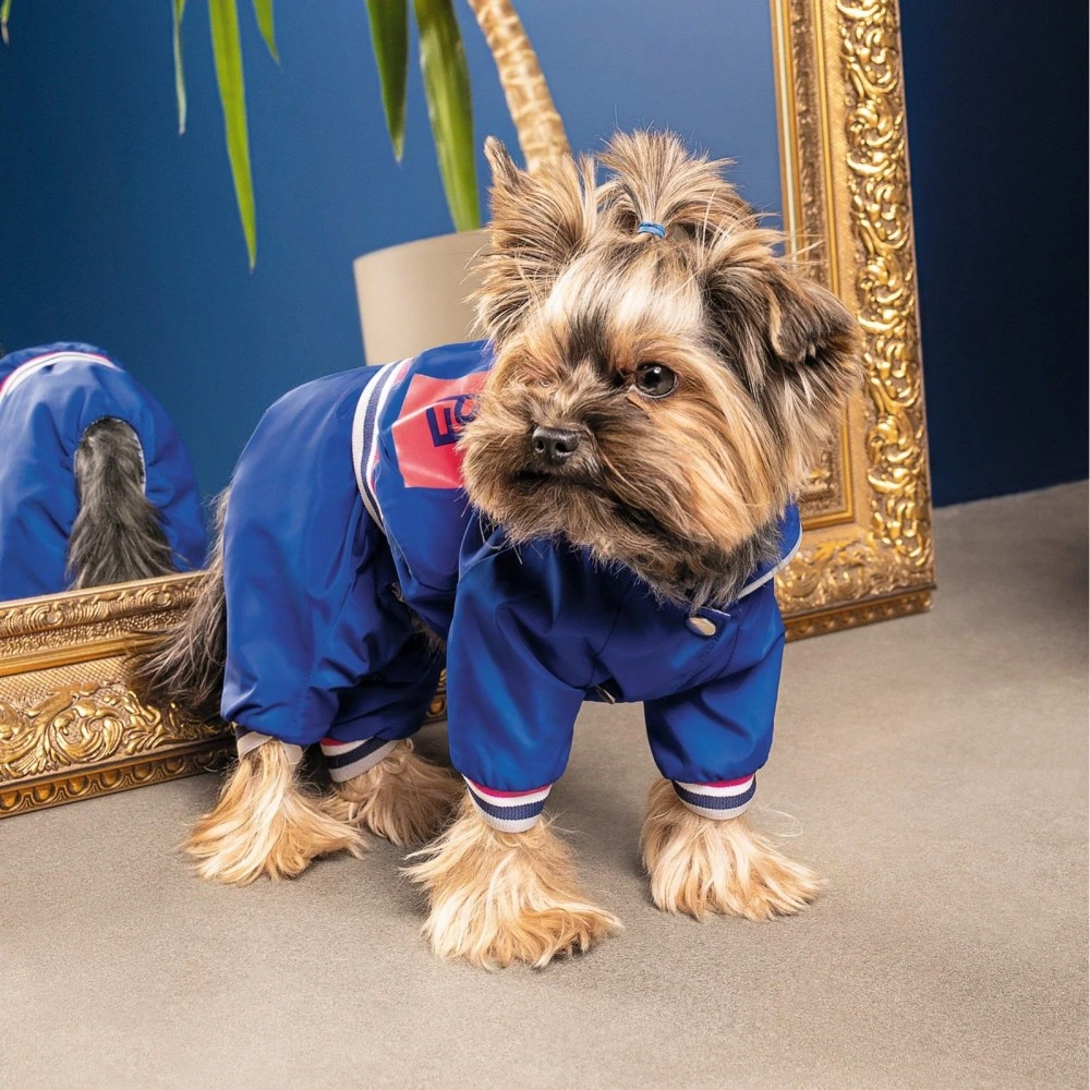 Дощовик Pet Fashion Silver для собак S