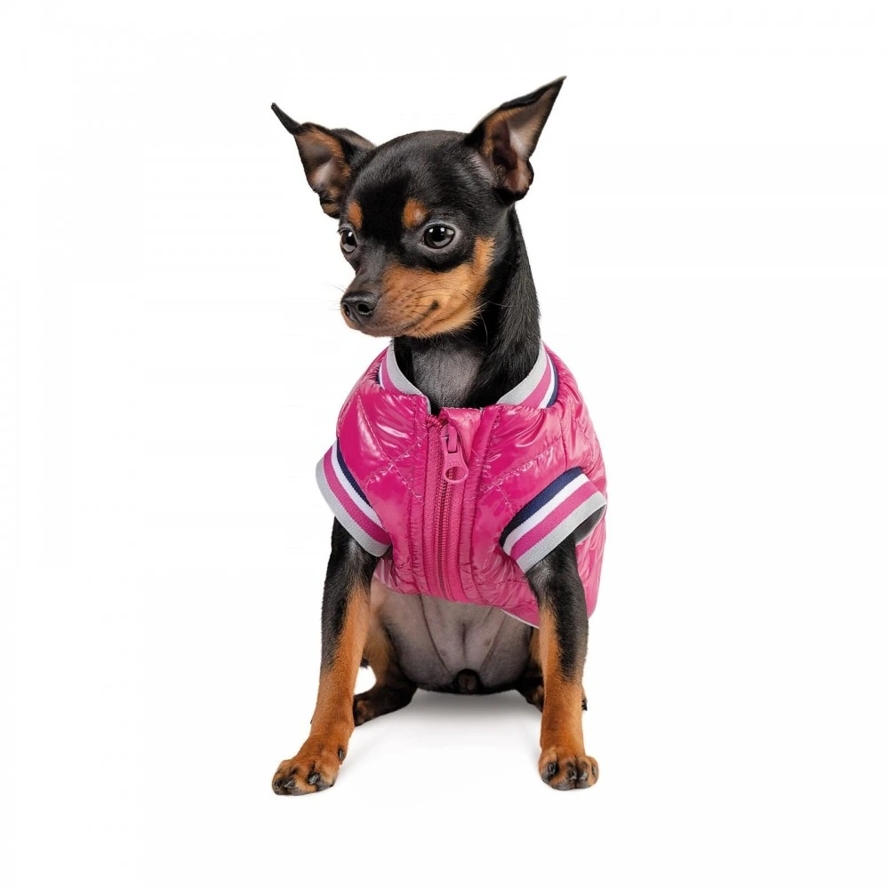 Бомбер Pet Fashion Grace для собак S