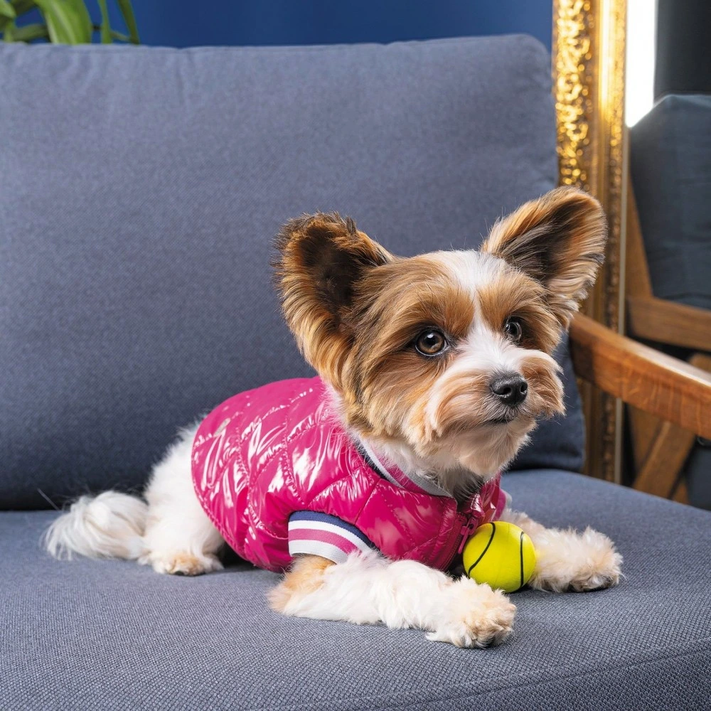 Бомбер Pet Fashion Grace для собак S