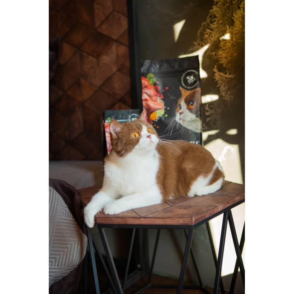 Корм сухий Savory Adult Cat Sensitive Digestion Fresh Lamb and Turkey для дорослих котів з чутливим травленням зі свіжою ягн