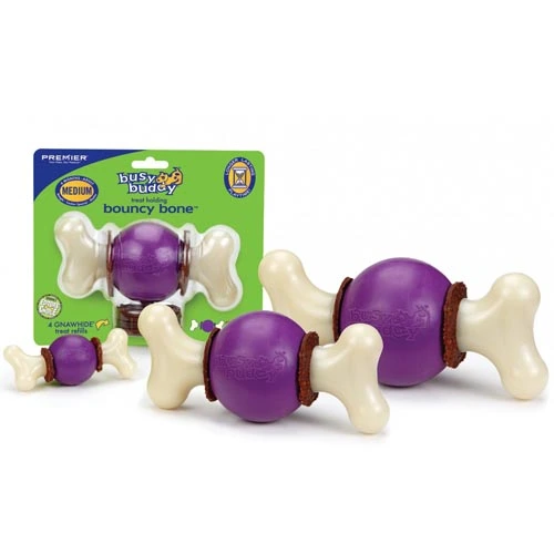 Жувальна іграшка для собак PetSafe Busy Buddy Bouncy Bone, з ласощами