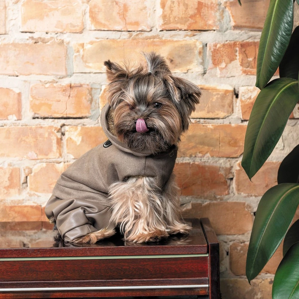 Костюм Pet Fashion PF Style для собак M