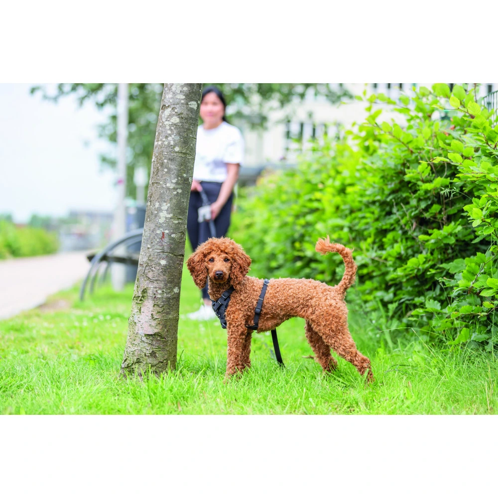 Шлей Trixie CityStyle H-harness для собак хлопок M–L 52–75 см 20 мм черный