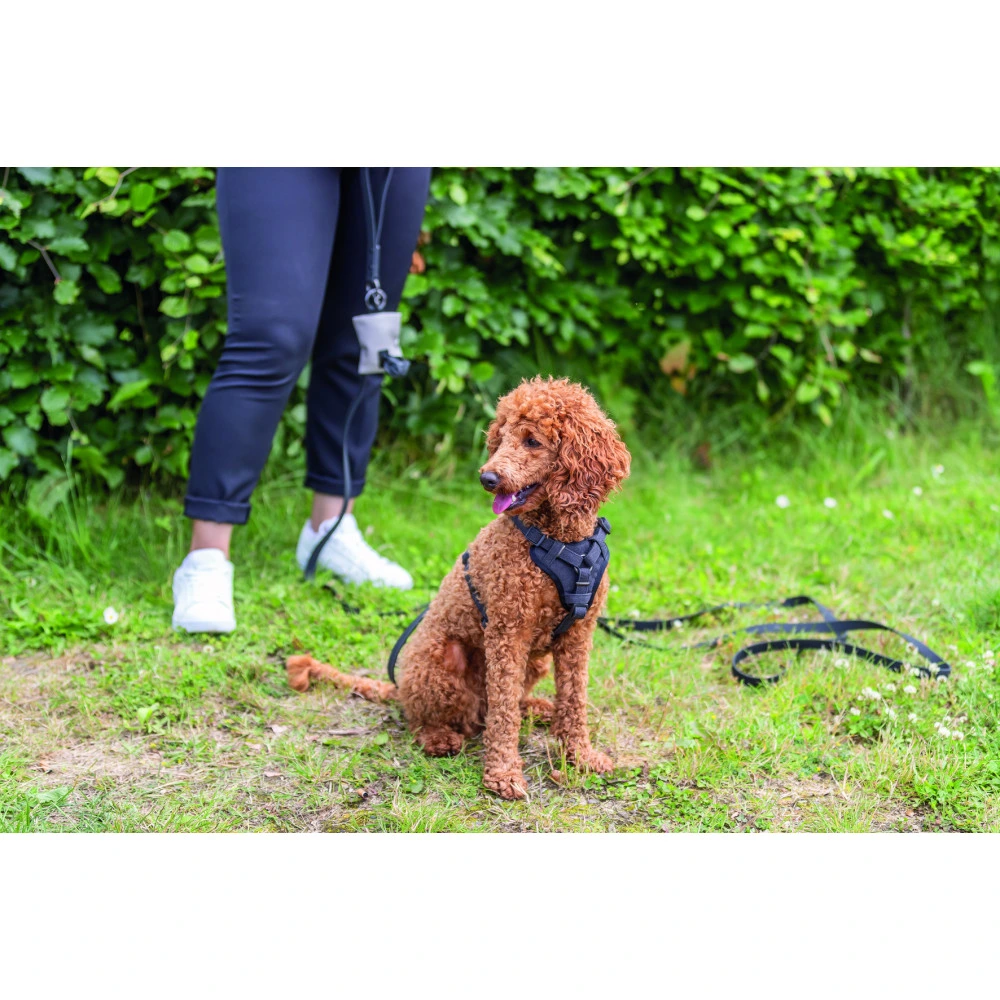 Шлей Trixie CityStyle H-harness для собак хлопок M–L 52–75 см 20 мм черный