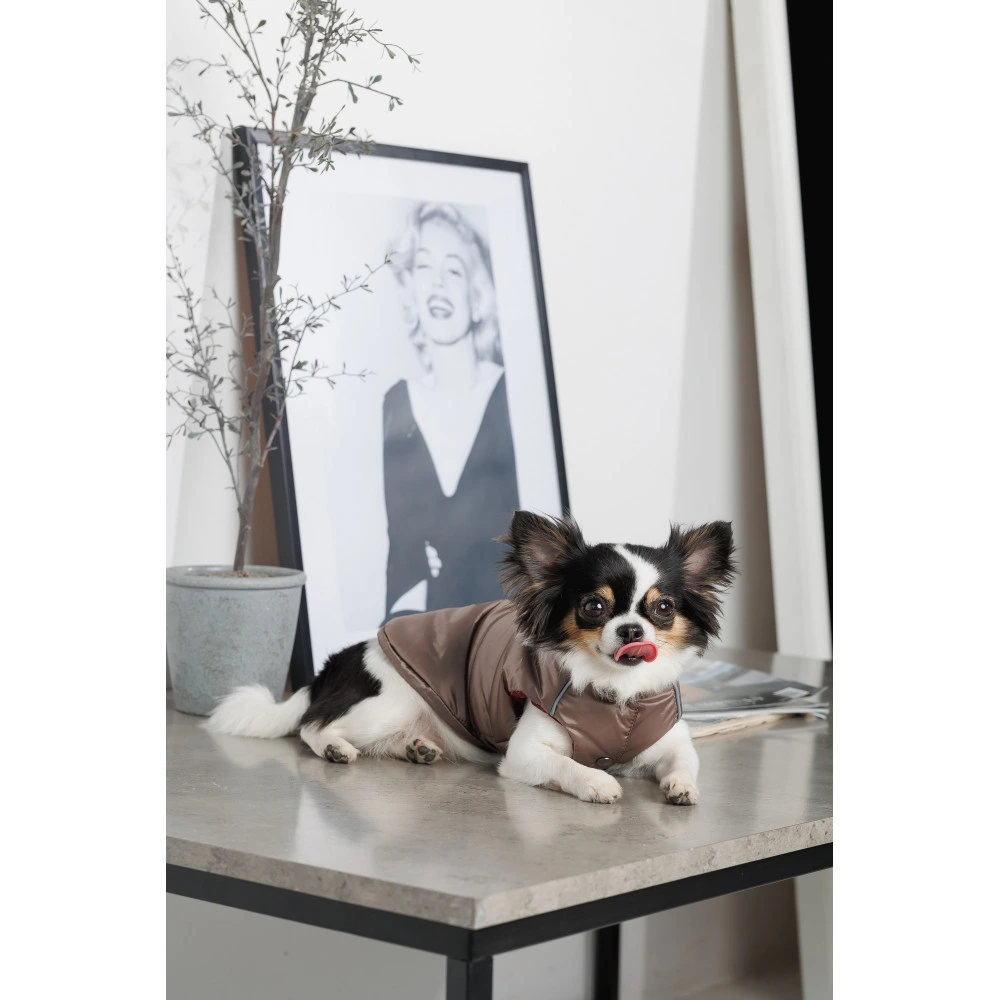 Жилет Pet Fashion Hardy для собак утеплений водонепроникний з отвором для повідця бежевий розмір L