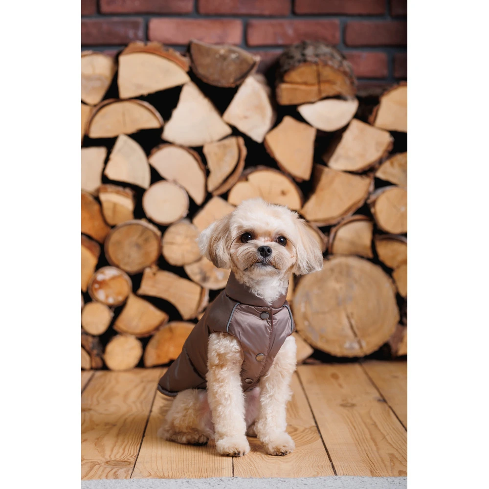 Жилет Pet Fashion Hardy для собак утеплений водонепроникний з отвором для повідця бежевий розмір M2