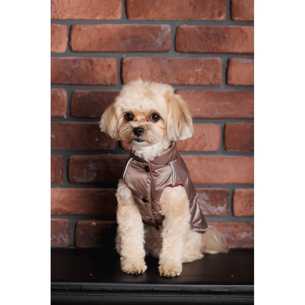 Жилет Pet Fashion Hardy для собак утеплений водонепроникний з отвором для повідця бежевий розмір M2