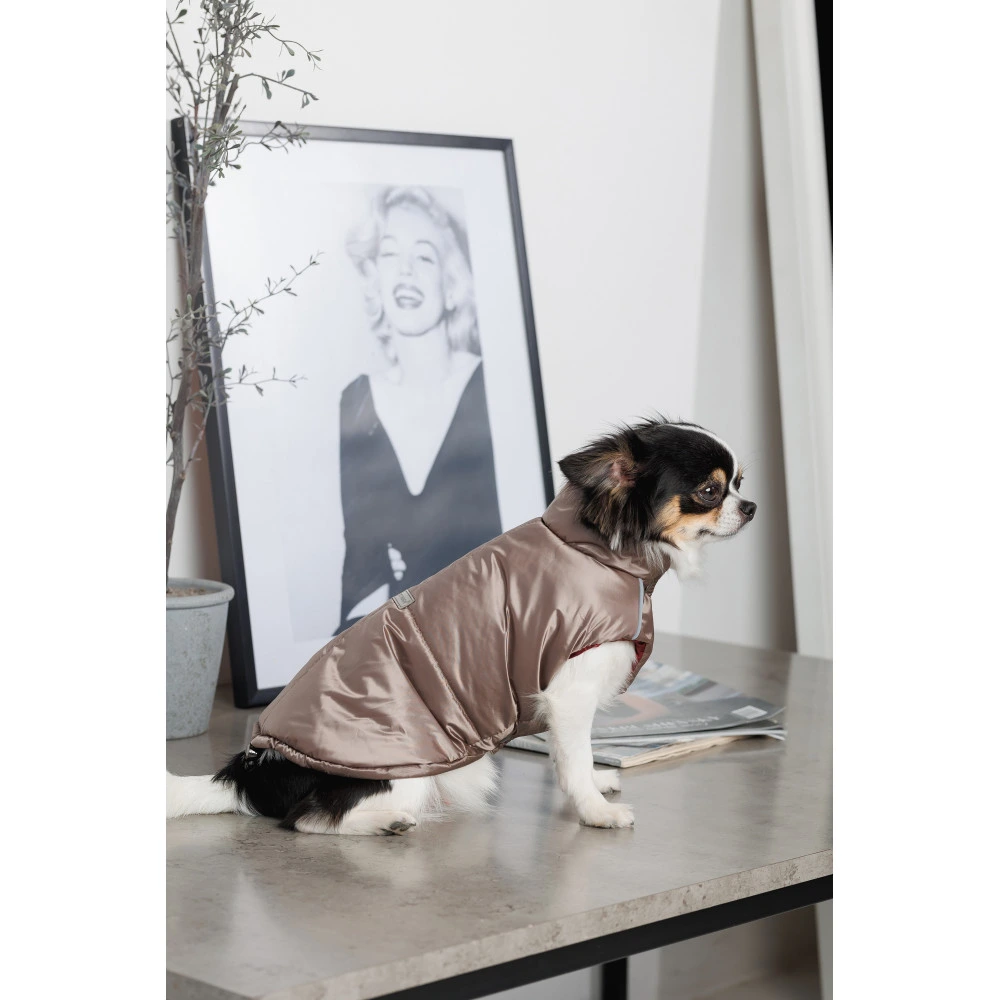 Жилет Pet Fashion Hardy для собак утеплений водонепроникний з отвором для повідця бежевий розмір M2