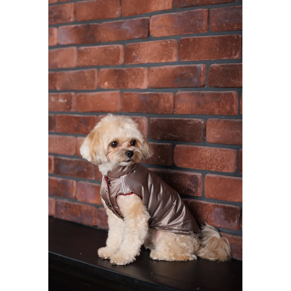 Жилет Pet Fashion Hardy для собак утеплений водонепроникний з отвором для повідця бежевий розмір S2