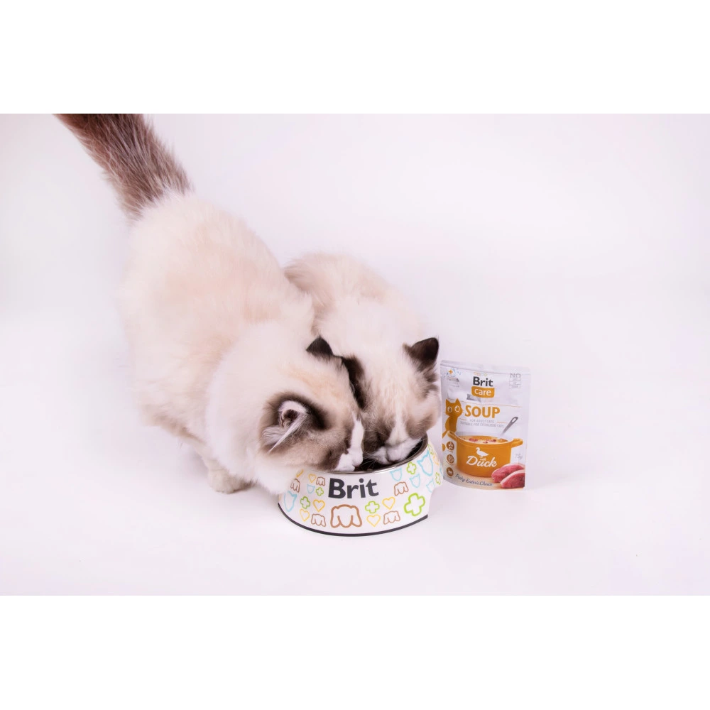 Корм вологий Brit Care Soup Duck д/котів суп з качкою 75 г