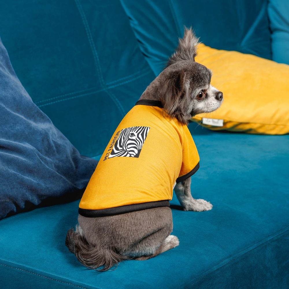 Футболка Pet Fashion Jessica для собак бавовна трикотаж жовта L