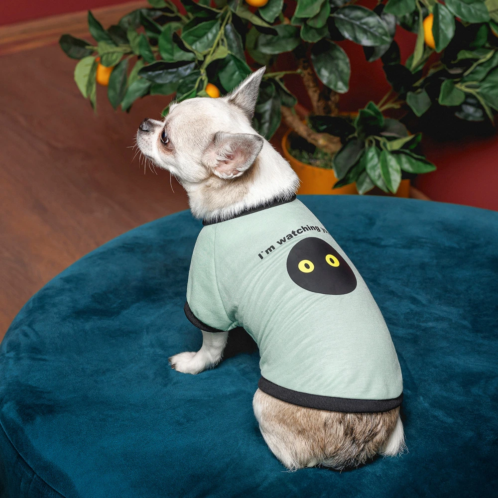 Футболка Pet Fashion Oscar для собак бавовна трикотаж рібана блакитна XS