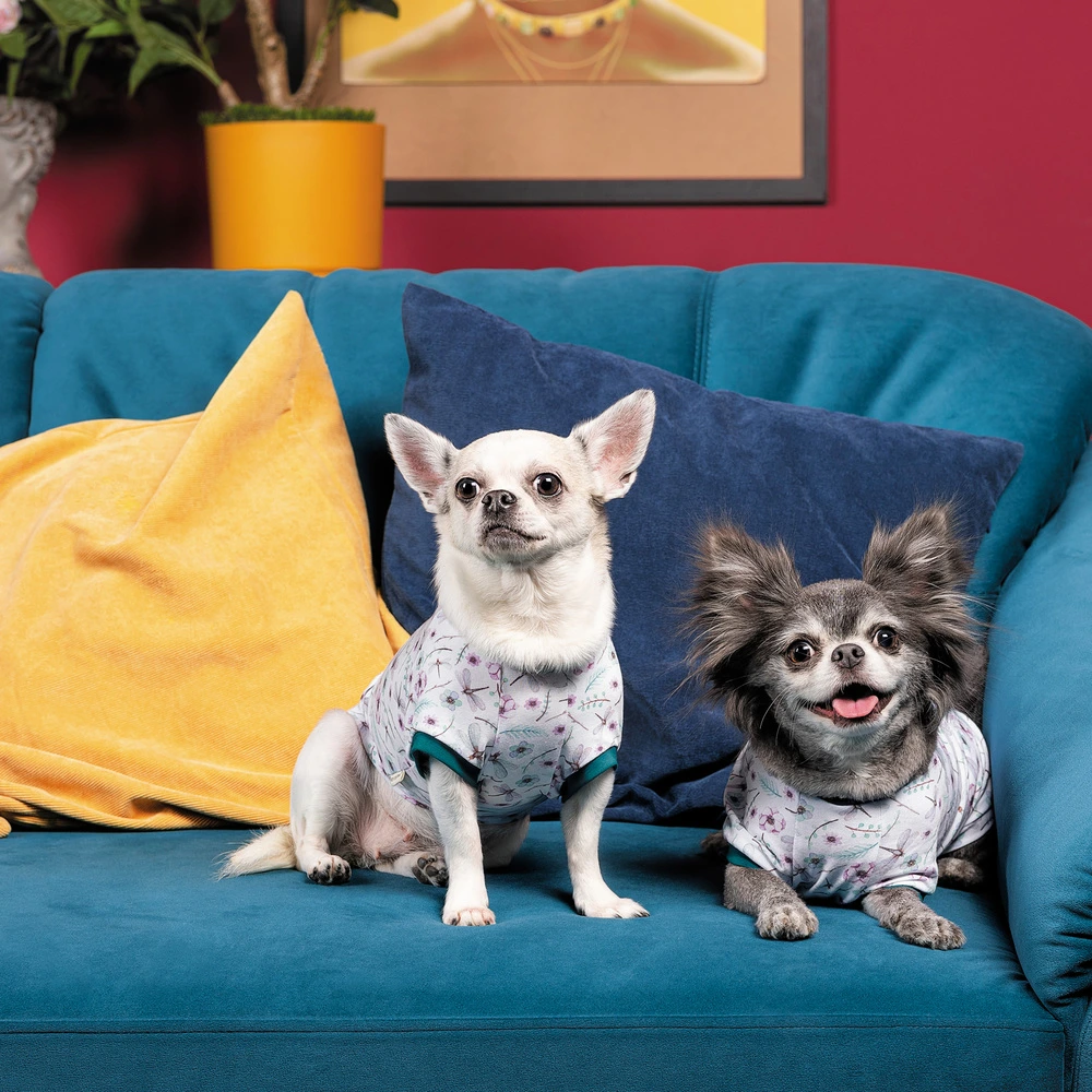 Футболка Pet Fashion Flora для собак бавовна трикотаж біла з квітковим принтом S