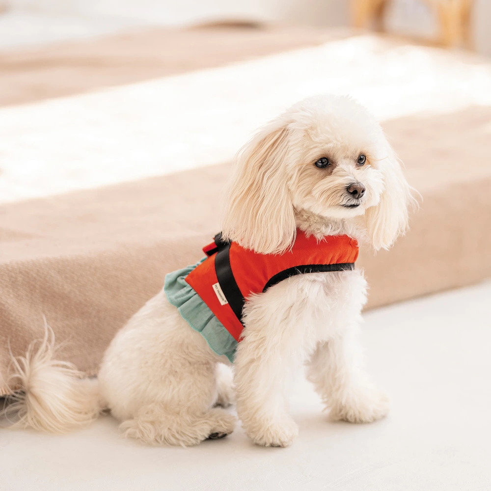 Шлея Monika ТМ Pet Fashion для собак ХXS