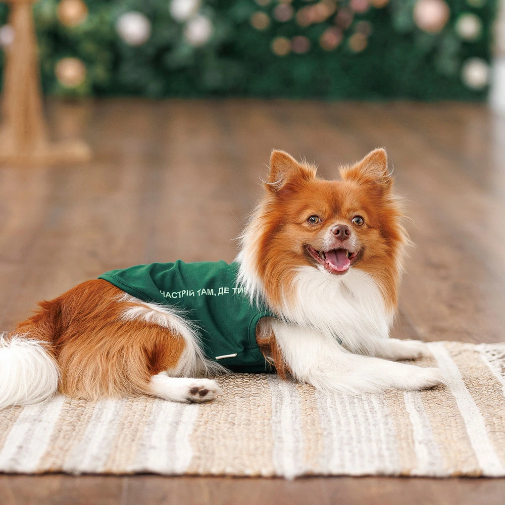 Борцівка Kale ТМ Pet Fashion для собак S зелена