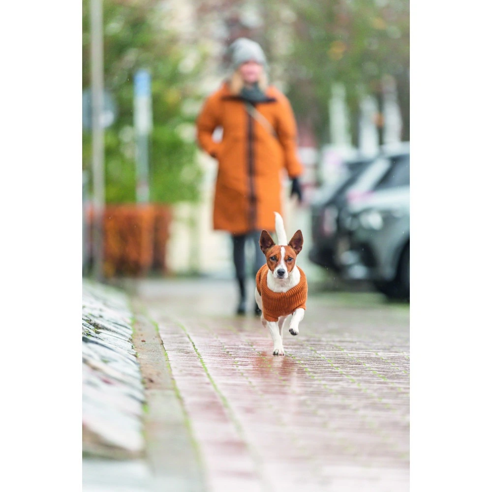Светр Trixie CityStyle Berlin для собак помаранчевий M 45 см