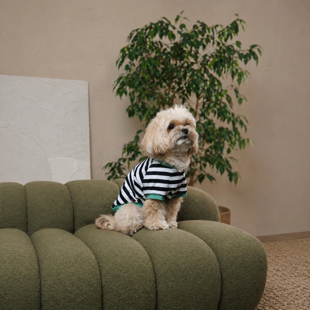 Футболка Pet Fashion Breeze для собак М