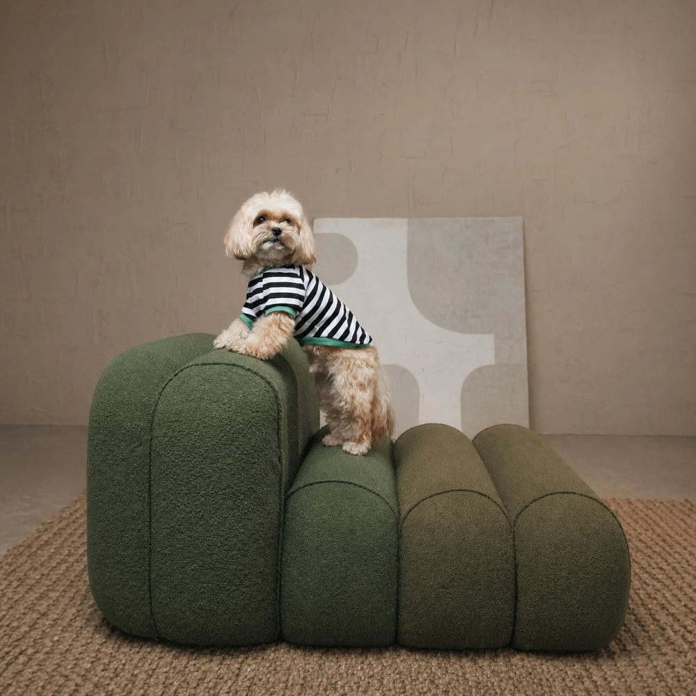 Футболка Pet Fashion Breeze для собак XХS