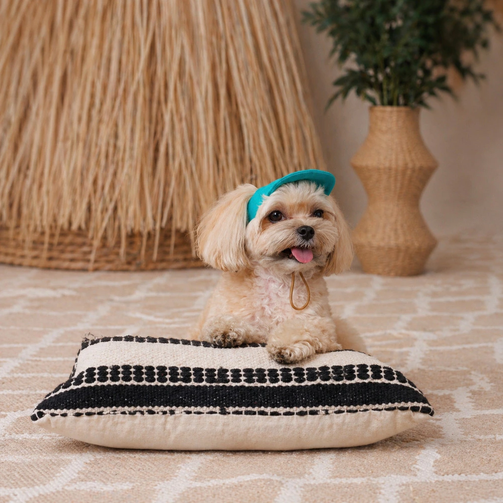 Кепка Pet Fashion Topaz для собак М