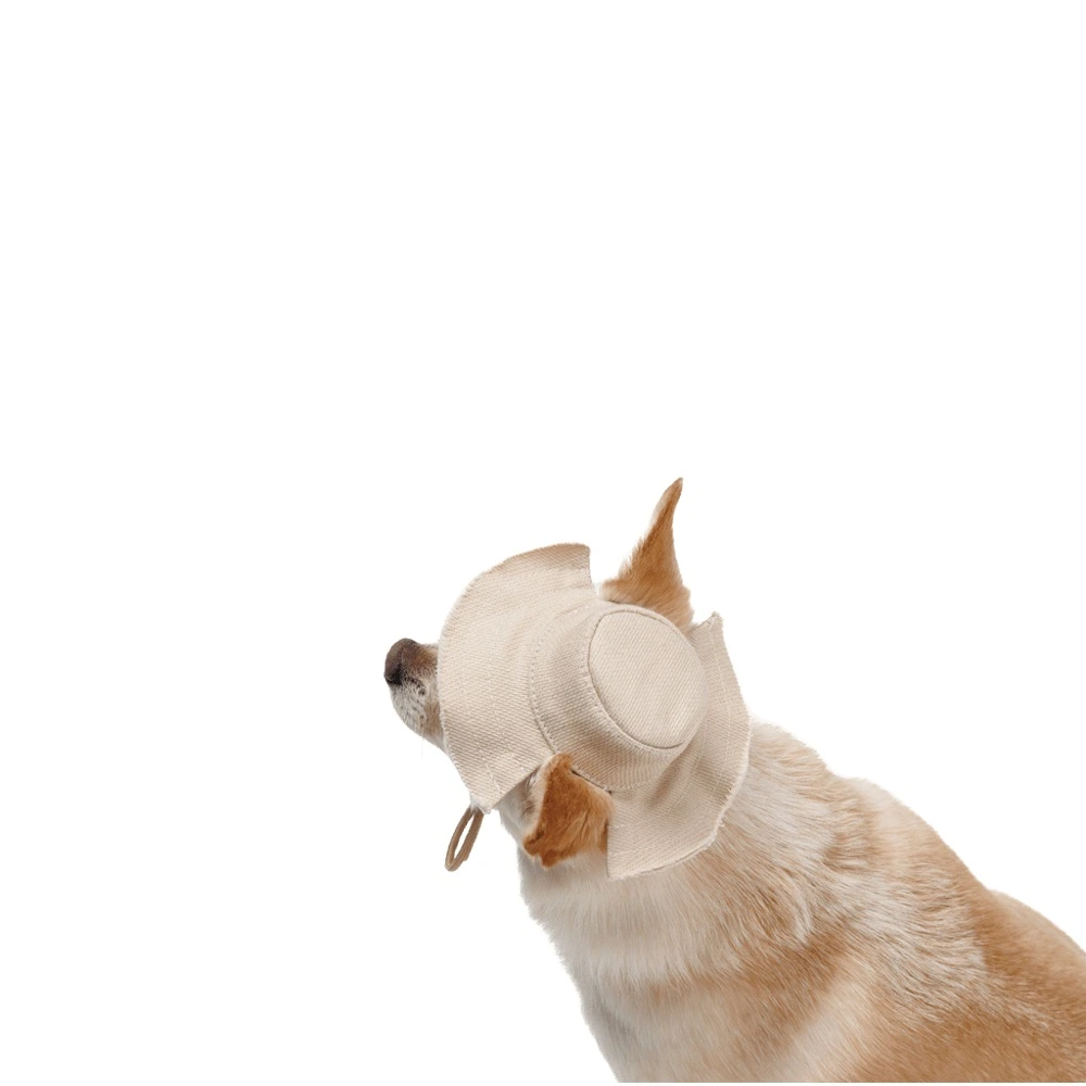 Панама Pet Fashion Gold для собак S
