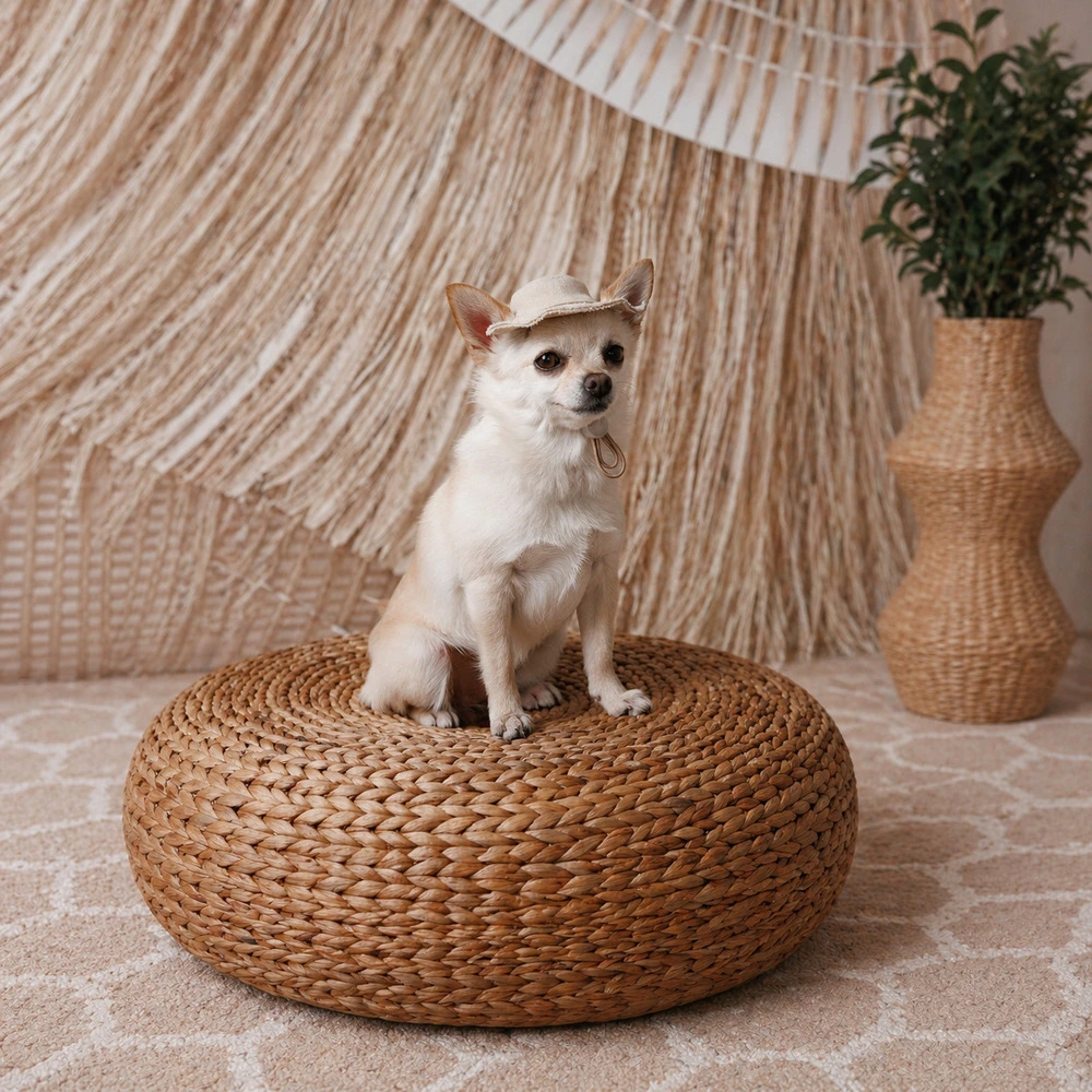 Панама Pet Fashion Gold для собак XS