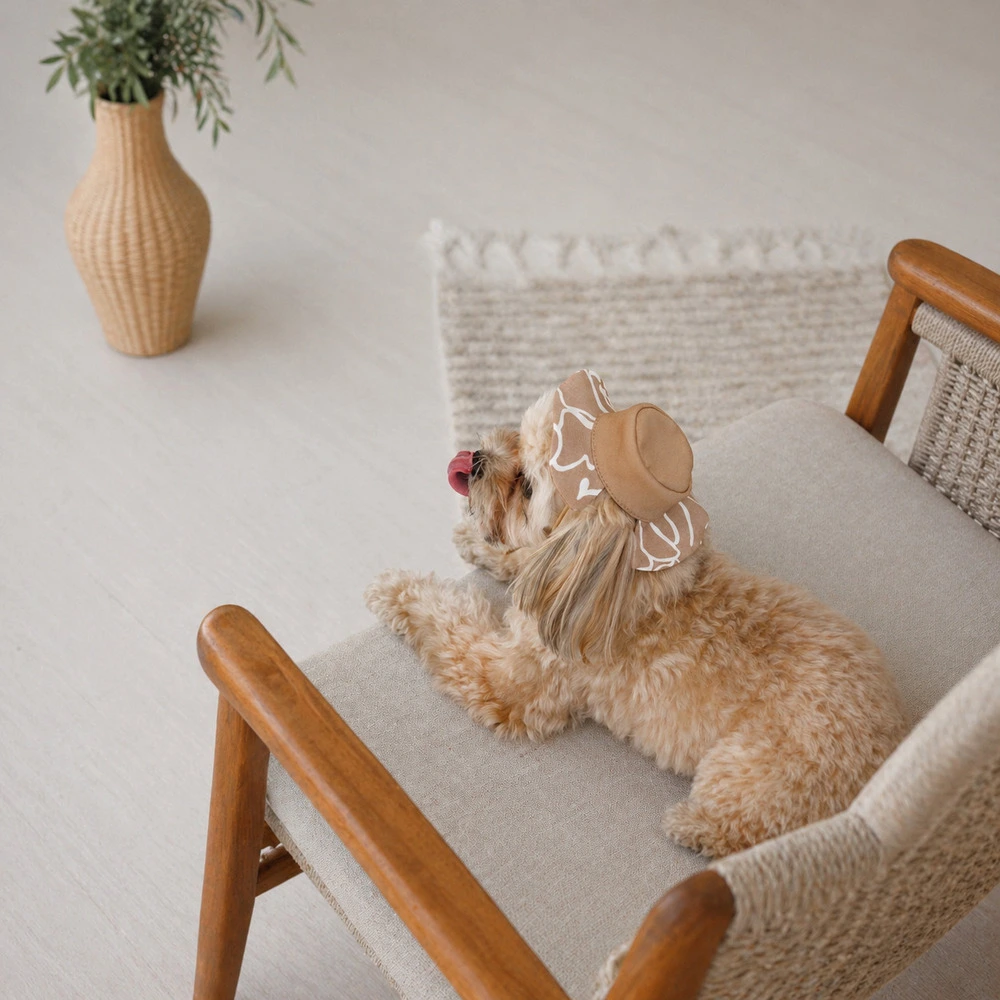 Панама Pet Fashion Print для собак XS