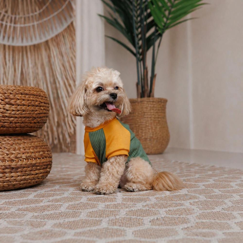 Футболка Pet Fashion Kent для собак XS